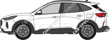 Ford Kuga, aktuell (seit 2024)